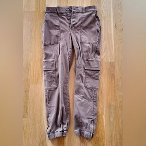 Express Mauve Cargo Pants
